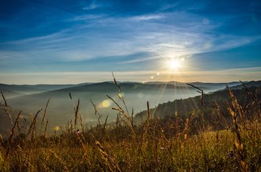 dağ yaz manzarası. ağaçlar çayır ve orman tepelerde yakın