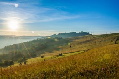 dağ yaz manzarası. ağaçlar çayır ve orman tepelerde yakın