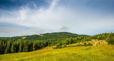 dağ yaz manzarası. ağaçlar çayır ve orman tepelerde yakın