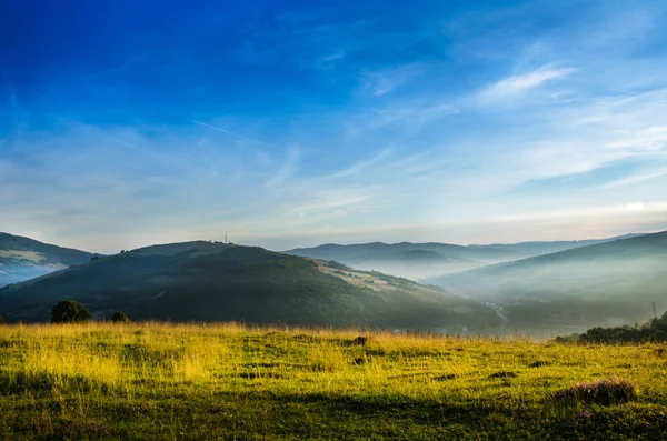 Paisaje de verano de montaña. árboles cerca de prados y bosques en colinas — Foto de Stock