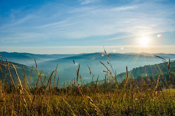 туман в зеленых горах
