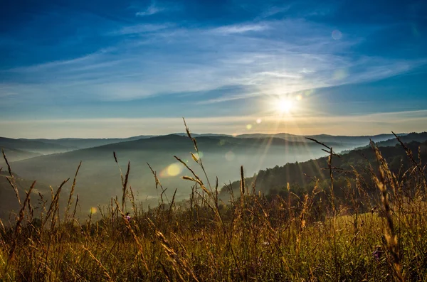 dağ yaz manzarası. ağaçlar çayır ve orman tepelerde yakın