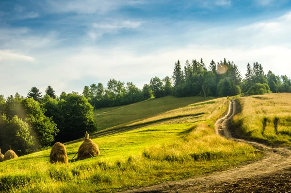 Paisaje de verano de montaña. árboles cerca de prados y bosques en colinas — Foto de Stock