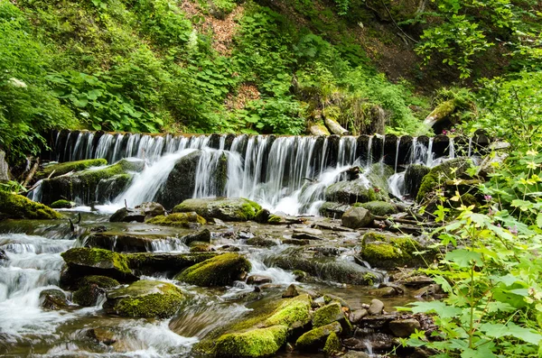 Fjällbäck i sommar — Stockfoto