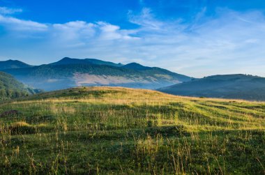 dağ yaz manzarası. ağaçlar çayır ve orman tepelerde yakın