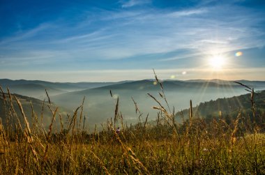 dağ yaz manzarası. ağaçlar çayır ve orman tepelerde yakın
