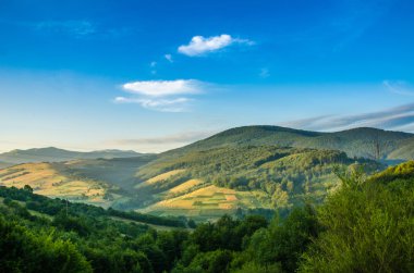 dağ yaz manzarası. ağaçlar çayır ve orman tepelerde yakın