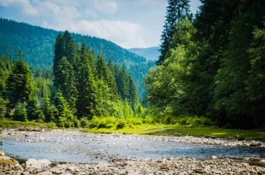 Yeşil dağların arasında nehir akar