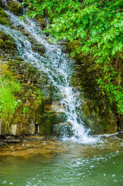 Yazın hava dağ dere 