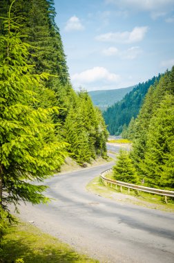 Yeşil dağlarda yolda