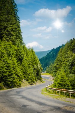 Yeşil dağlarda yolda