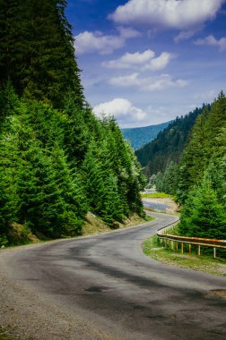 Yeşil dağlarda yolda