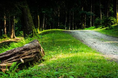 yolda gündoğumu, yeşil dağlarda.