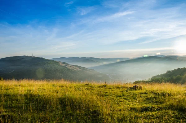 dağ yaz manzarası. ağaçlar çayır ve orman tepelerde yakın