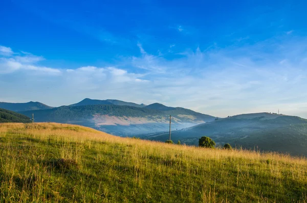 dağ yaz manzarası. ağaçlar çayır ve orman tepelerde yakın