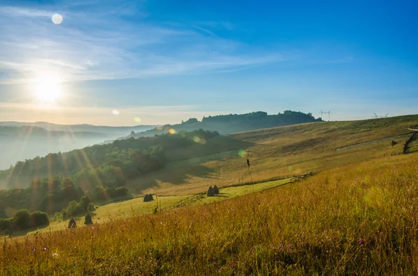 dağ yaz manzarası. ağaçlar çayır ve orman tepelerde yakın