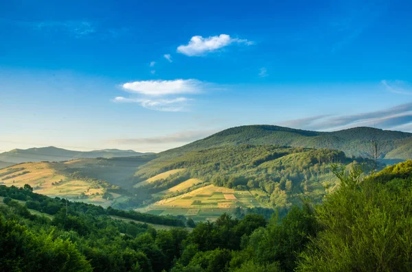 dağ yaz manzarası. ağaçlar çayır ve orman tepelerde yakın