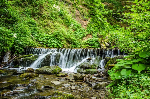 Fjällbäck i sommar — Stockfoto