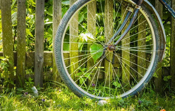 Rueda de bicicleta sobre un fondo — Foto de Stock