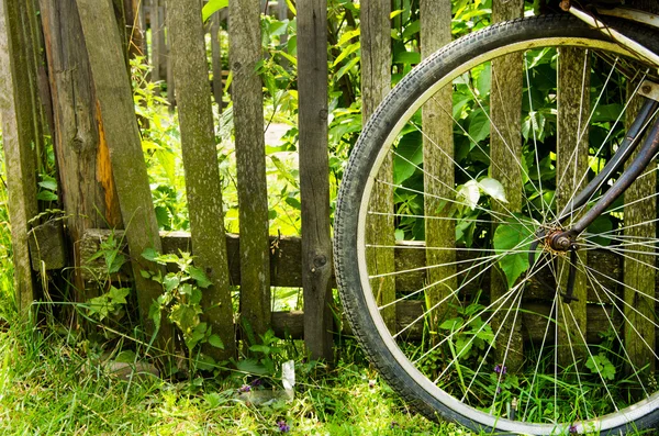 bir arka plan üzerinde bisiklet tekerleği