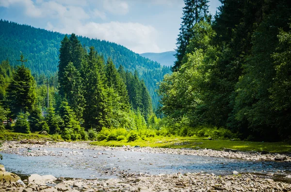 Yeşil dağların arasında nehir akar