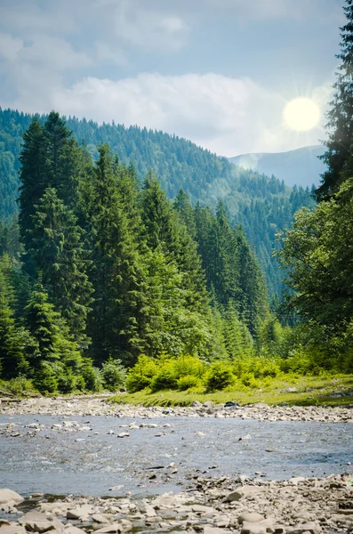 O rio flui entre montanhas verdes — Fotografia de Stock