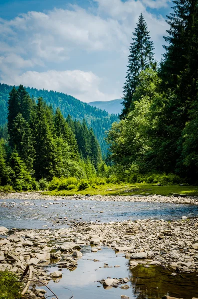 Yeşil dağların arasında nehir akar