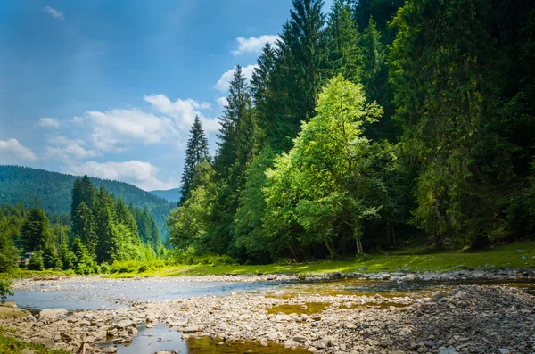 El río fluye entre montañas verdes — Foto de Stock