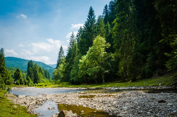 El río fluye entre montañas verdes — Foto de Stock