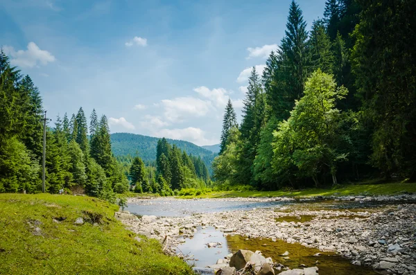 Река течет между зелеными горами — стоковое фото