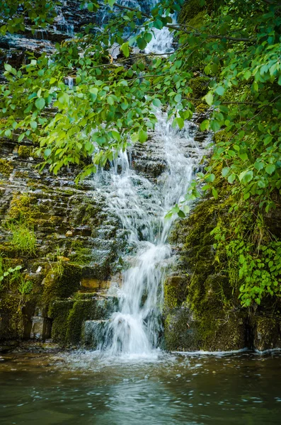 Fjällbäck i sommar — Stockfoto