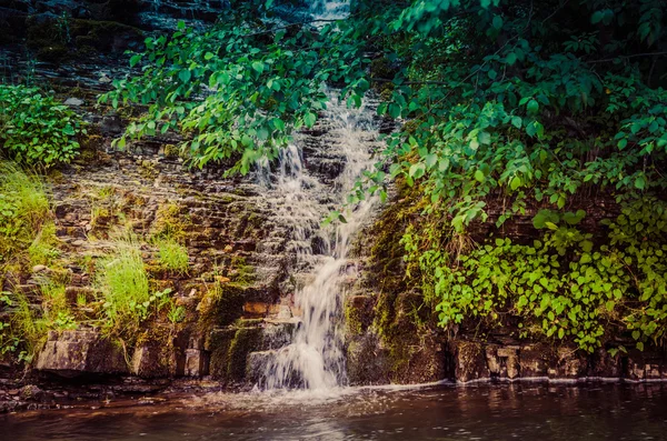 Mountain stream in summer — Stock Photo, Image