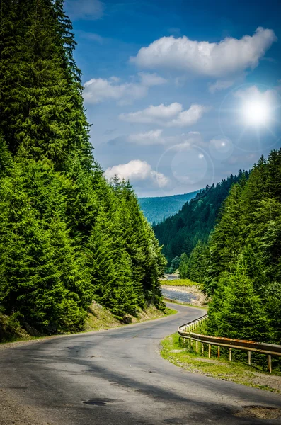 Yeşil dağlarda yolda