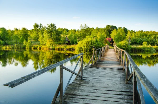 Vackra sjön på sommaren — Stockfoto