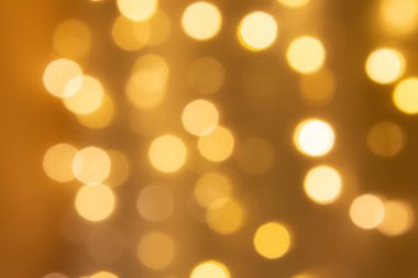 Noel süslemeleri için çam ağaçlarıyla bokeh arka planı. ya da Yeni Yıl Günü