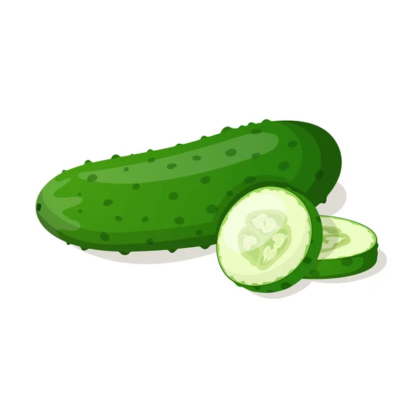 Pepino isolado em branco. Ilustração vetorial — Vetor de Stock