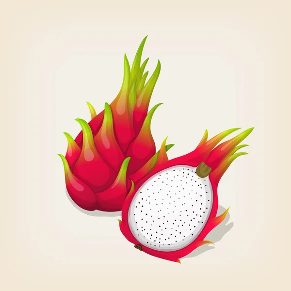 Fruta de dragón exótica madura con rebanada. Ilustración vectorial — Archivo Imágenes Vectoriales