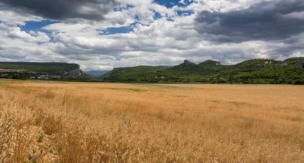 A fű a tetején egy hegy, őszi táj — Stock Fotó