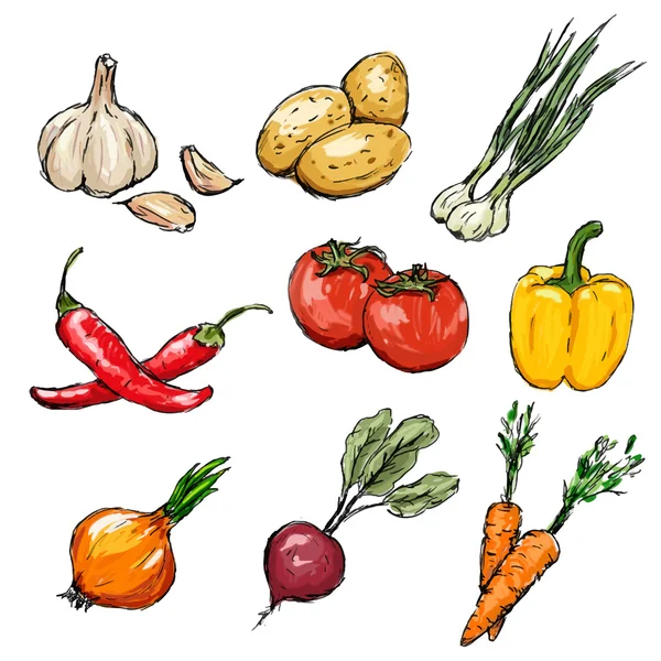Vegetables set. Vector illustration — Stock Vector