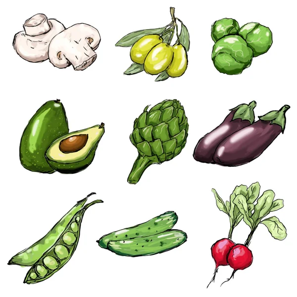 Vegetables set. Vector illustration — Stock Vector
