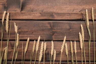 Buğday kökleri kahverengi tahta masa zemininde fotokopi alanı ile birlikte.