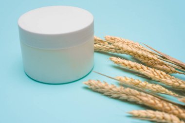 Kavanozdaki buğday ürünleri maskesi ve mavi arka planda buğday sapı..