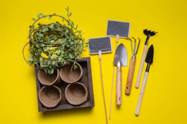 Sarı düz arka planda çeşitli bahçe aletleri ve saksılar vardı. Bahçe konsepti.