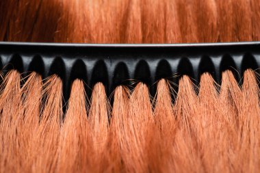 Tarak ve kadın saçı soyut arkaplanı kapatır.