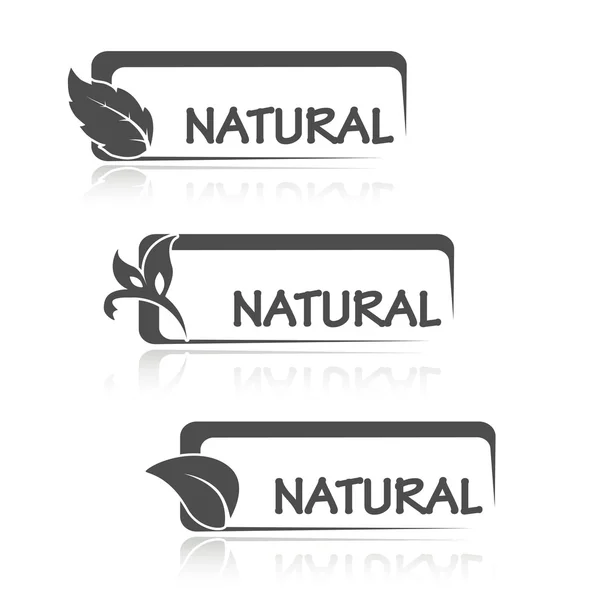 Símbolos de la naturaleza con hojas — Vector de stock