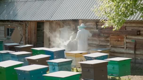 L'apiculteur se promène autour de son rucher, inspecte les ruches et tient un fumeur créant de la fumée pour les abeilles. Le thème de l'apiculture et des soins aux insectes. Créer du miel et un produit sain. Les abeilles volent. — Video