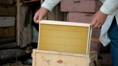 Arı kovanı için balmumu çerçeve hazırlıyorum. Arıcılık ve bal teması. Arı yetiştiricilerinin ellerine yakın çekim.