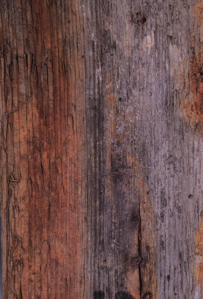 Wood texture background — Stock Photo, Image