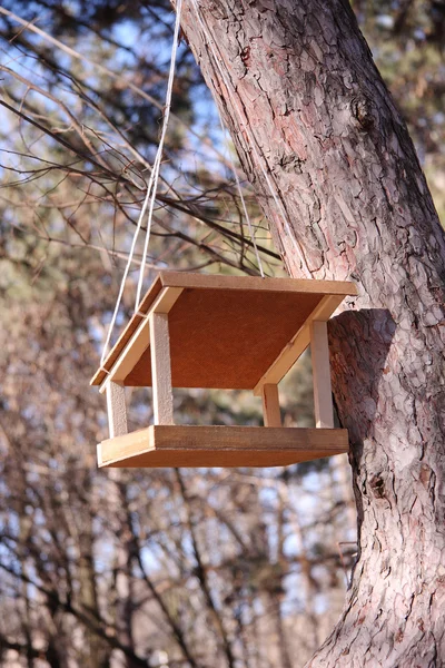 Ağaçta kuş besleyicisi