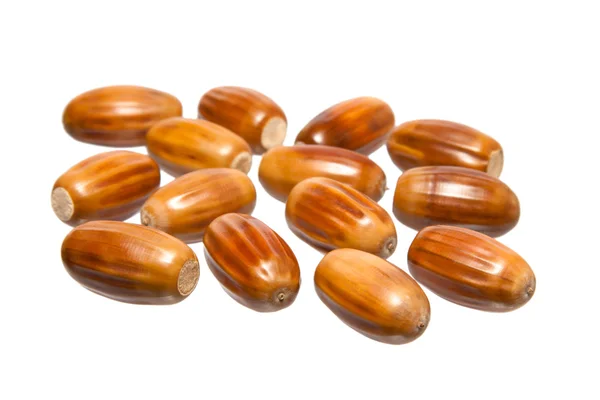 Beyaz bir arka plan üzerinde birkaç meşe palamutları